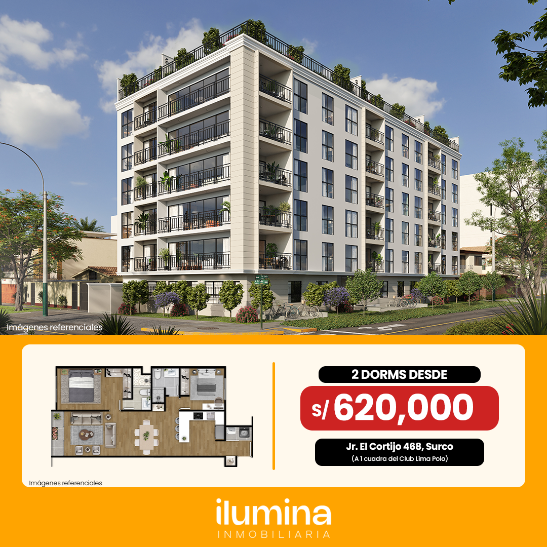ilumina pauta polo 02